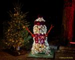 Eröffnung des Christmas Gardens im Zoo Augsburg 2025