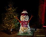 Eröffnung des Christmas Gardens im Zoo Augsburg 2025