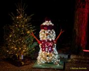 Eröffnung des Christmas Gardens im Zoo Augsburg 2025