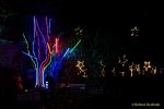 Eröffnung des Christmas Gardens im Zoo Augsburg 2025
