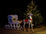 Eröffnung des Christmas Gardens im Zoo Augsburg 2025