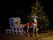 Eröffnung des Christmas Gardens im Zoo Augsburg 2025