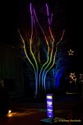 Eröffnung des Christmas Gardens im Zoo Augsburg 2025
