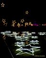 Eröffnung des Christmas Gardens im Zoo Augsburg 2025