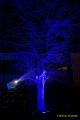 Eröffnung des Christmas Gardens im Zoo Augsburg 2025