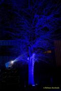 Eröffnung des Christmas Gardens im Zoo Augsburg 2025