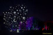 Eröffnung des Christmas Gardens im Zoo Augsburg 2025