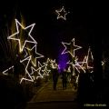 Eröffnung des Christmas Gardens im Zoo Augsburg 2025