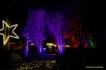 Eröffnung des Christmas Gardens im Zoo Augsburg 2025
