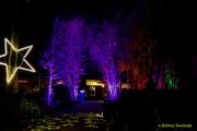 Eröffnung des Christmas Gardens im Zoo Augsburg 2025