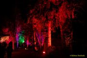 Eröffnung des Christmas Gardens im Zoo Augsburg 2025
