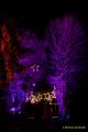 Eröffnung des Christmas Gardens im Zoo Augsburg 2025