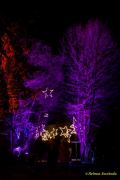 Eröffnung des Christmas Gardens im Zoo Augsburg 2025
