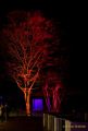 Eröffnung des Christmas Gardens im Zoo Augsburg 2025