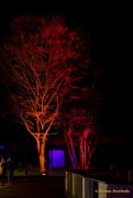 Eröffnung des Christmas Gardens im Zoo Augsburg 2025