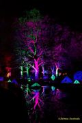 Eröffnung des Christmas Gardens im Zoo Augsburg 2025