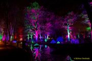 Eröffnung des Christmas Gardens im Zoo Augsburg 2025