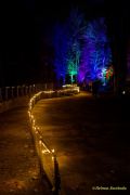 Eröffnung des Christmas Gardens im Zoo Augsburg 2025