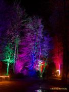 Eröffnung des Christmas Gardens im Zoo Augsburg 2025