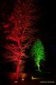 Eröffnung des Christmas Gardens im Zoo Augsburg 2025