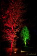 Eröffnung des Christmas Gardens im Zoo Augsburg 2025