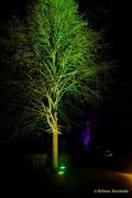 Eröffnung des Christmas Gardens im Zoo Augsburg 2025