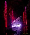 Eröffnung des Christmas Gardens im Zoo Augsburg 2025