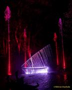 Eröffnung des Christmas Gardens im Zoo Augsburg 2025