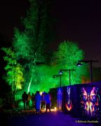 Eröffnung des Christmas Gardens im Zoo Augsburg 2025