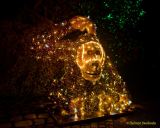 Eröffnung des Christmas Gardens im Zoo Augsburg 2025