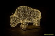 Eröffnung des Christmas Gardens im Zoo Augsburg 2025