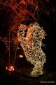 Eröffnung des Christmas Gardens im Zoo Augsburg 2025