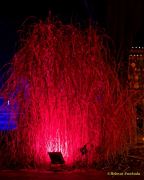 Eröffnung des Christmas Gardens im Zoo Augsburg 2025