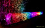 Eröffnung des Christmas Gardens im Zoo Augsburg 2025