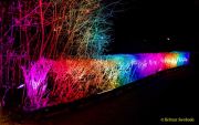 Eröffnung des Christmas Gardens im Zoo Augsburg 2025