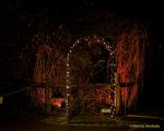 Eröffnung des Christmas Gardens im Zoo Augsburg 2025
