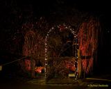 Eröffnung des Christmas Gardens im Zoo Augsburg 2025