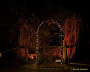 Eröffnung des Christmas Gardens im Zoo Augsburg 2025