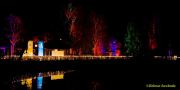 Eröffnung des Christmas Gardens im Zoo Augsburg 2025