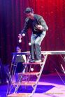Circus Busch-Roland 2024 -  REVIVAL