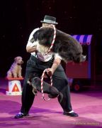 Circus Busch-Roland 2024 -  REVIVAL