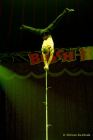 Circus Busch-Roland 2024 -  REVIVAL