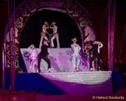 d150402-20062660-100-cirkus_krone-evolution