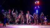 d150402-20330330-100-cirkus_krone-evolution