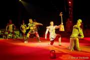 d150402-20425160-100-cirkus_krone-evolution
