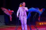 d150402-23222550-100-cirkus_krone-evolution