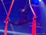 Circus Krone Pressekonferenz 2025 bzgl. der Weltpremiere von „Farbenspiel – Gold Edition“ im modernen Mega-Zelt