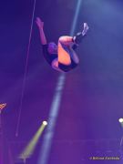 Circus Krone Pressekonferenz 2025 bzgl. der Weltpremiere von „Farbenspiel – Gold Edition“ im modernen Mega-Zelt