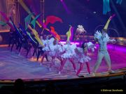 Circus Krone Pressekonferenz 2025 bzgl. der Weltpremiere von „Farbenspiel – Gold Edition“ im modernen Mega-Zelt