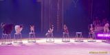 Circus Krone 2025 Weltpremiere von „Farbenspiel – Gold Edition“ im modernen Mega-Zelt